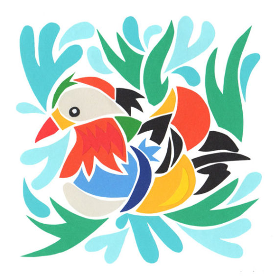 Mandarin Duck